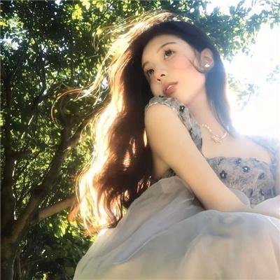 法兰西海报